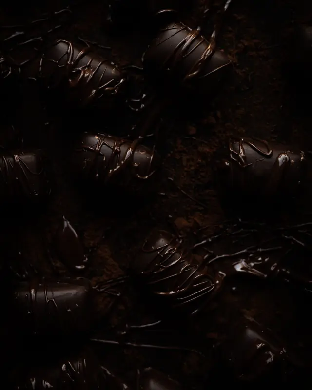 Dark chocolates drizzled with chocolate on cocoa
